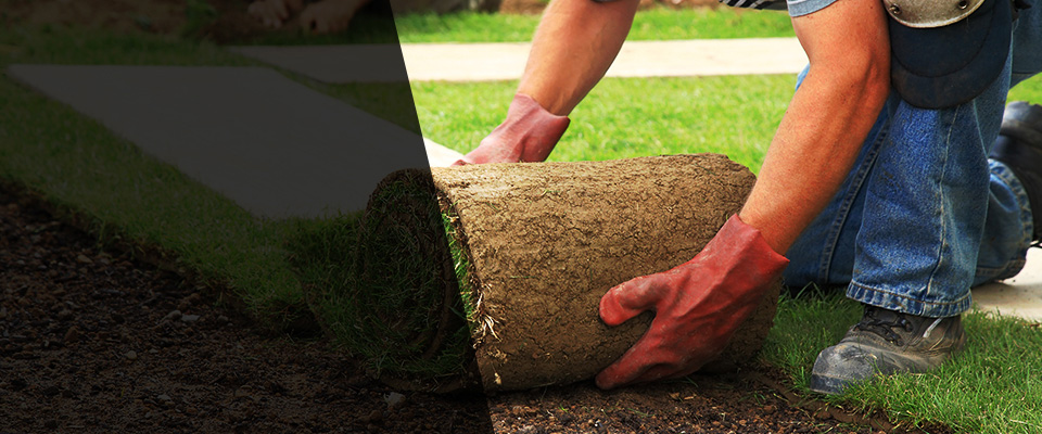 Plum City Landscapers